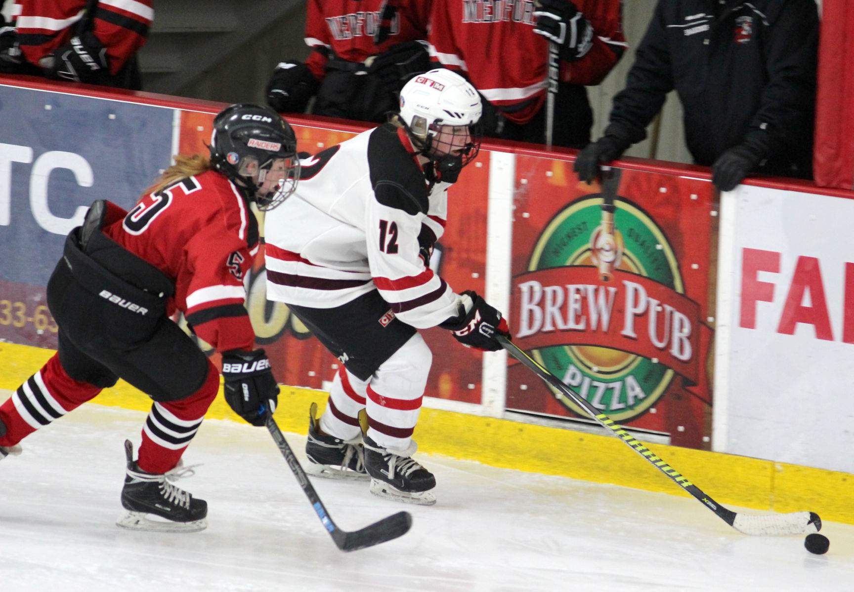 Medford at Chippewa Falls/Menomonie girls hockey 1-30-20